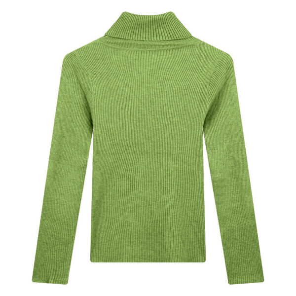 Thickening Inner Wear Skinny Versatile Long Sleeve Thermal Turtleneck Sweater For Women - Image 4