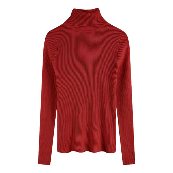 Thickening Inner Wear Skinny Versatile Long Sleeve Thermal Turtleneck Sweater For Women - Image 7