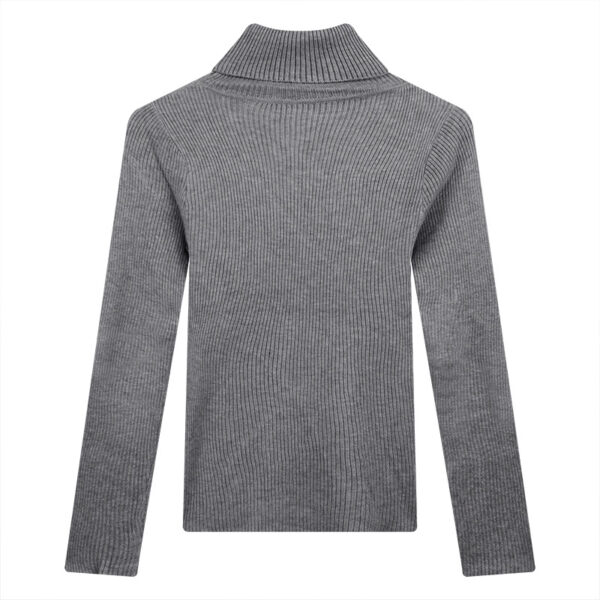 Thickening Inner Wear Skinny Versatile Long Sleeve Thermal Turtleneck Sweater For Women - Image 3